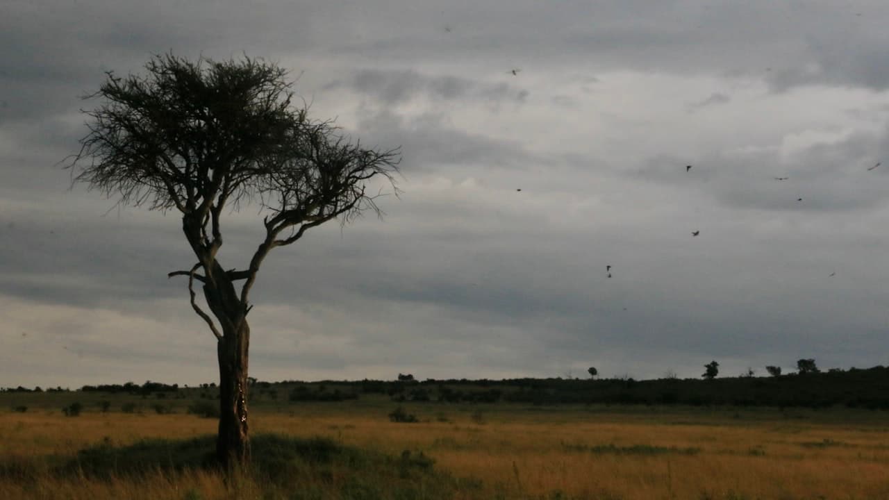Wet Season vs Dry Season: Solar Output in Zimbabwe